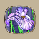 #111 Purple Iris